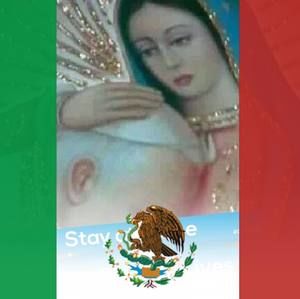 Meet your Posher, Luz